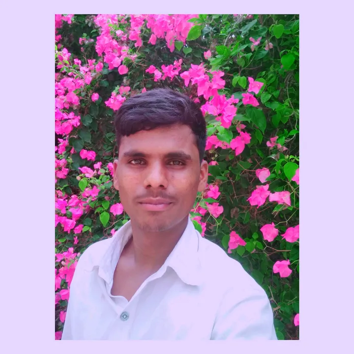 @basavamom