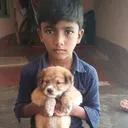 @rajakumari1990