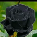 @asmi__lonare__95