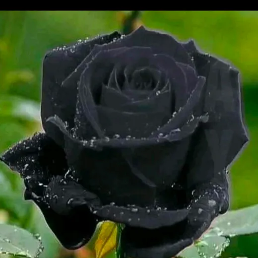 @asmi__lonare__95