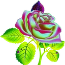 @pradeepdas972
