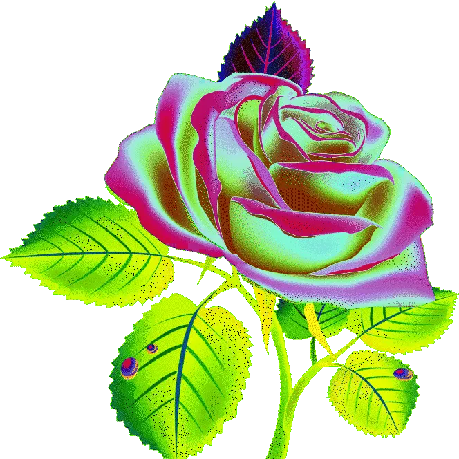 pradeepdas972