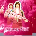 @.p.r.i.n.ce