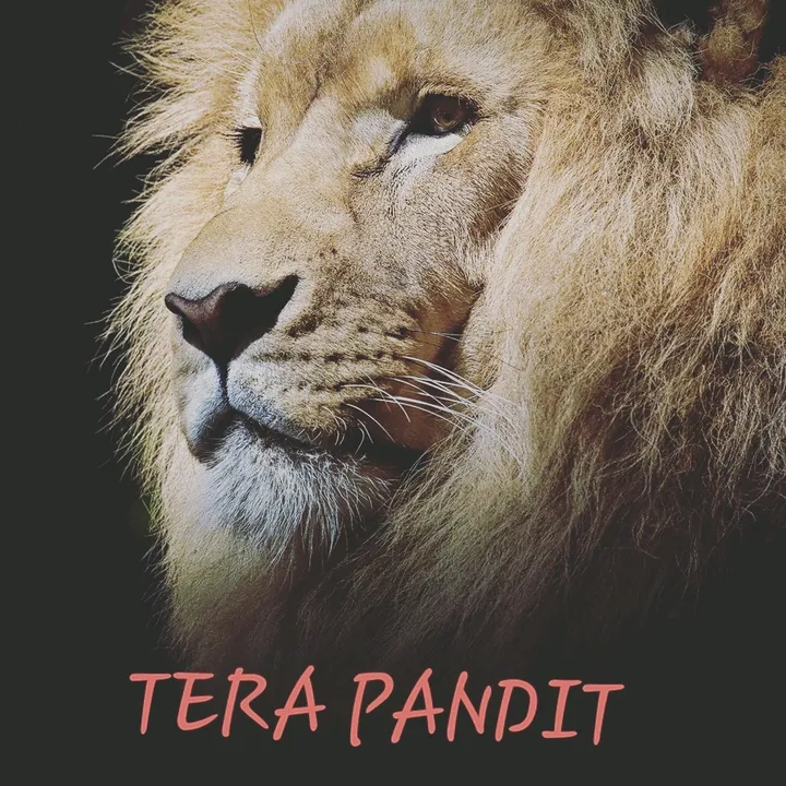 .tera_pandit