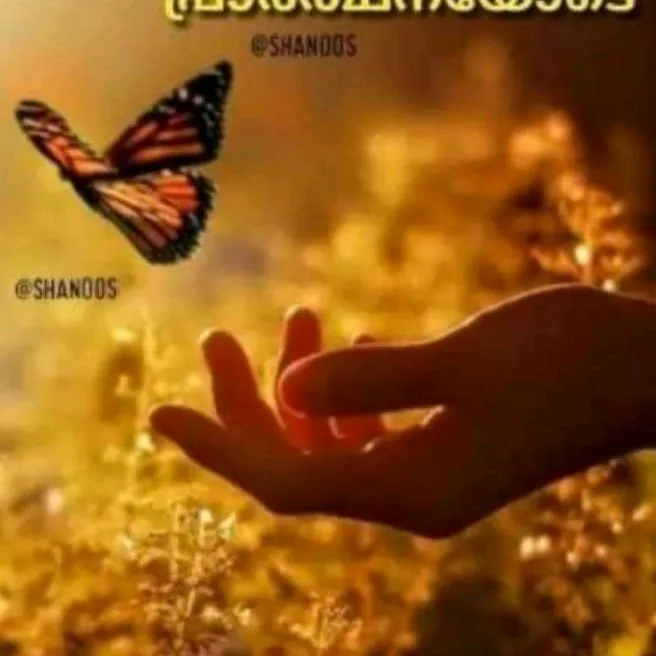 @kavyap131