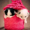 @vishnupnair16