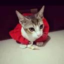 @tkhan_official