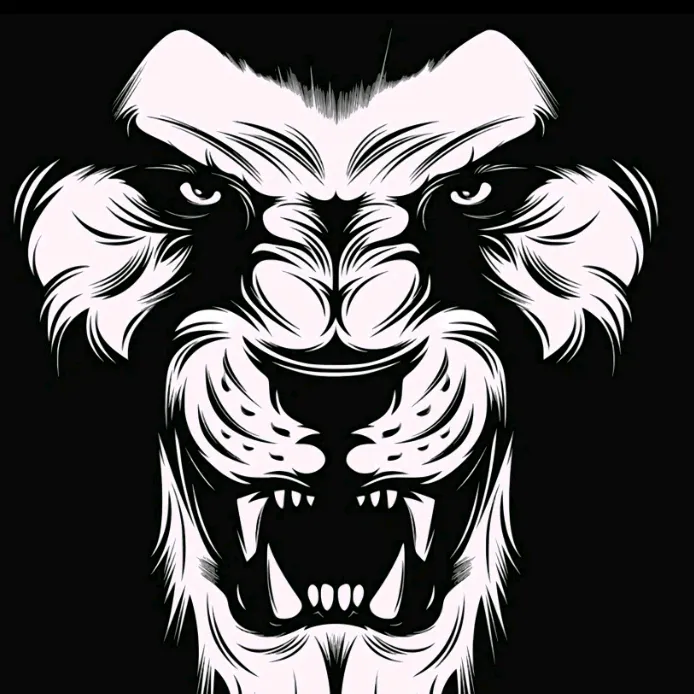 anurag11223v