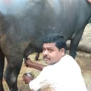 @aravind7969
