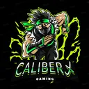 @calibers_gaming