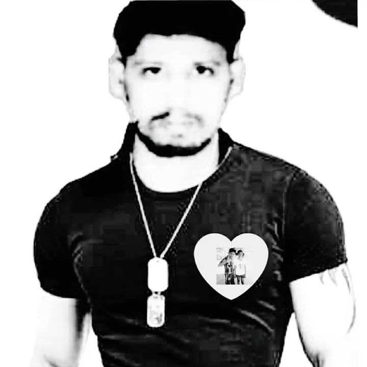 user8317342037495