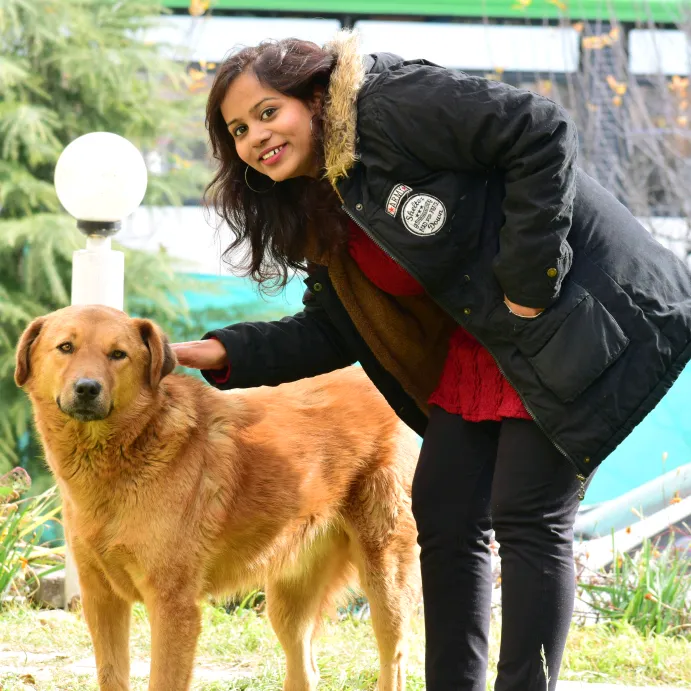 vishakhadarbari