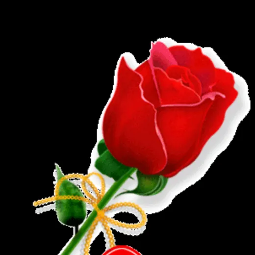 rajijose88