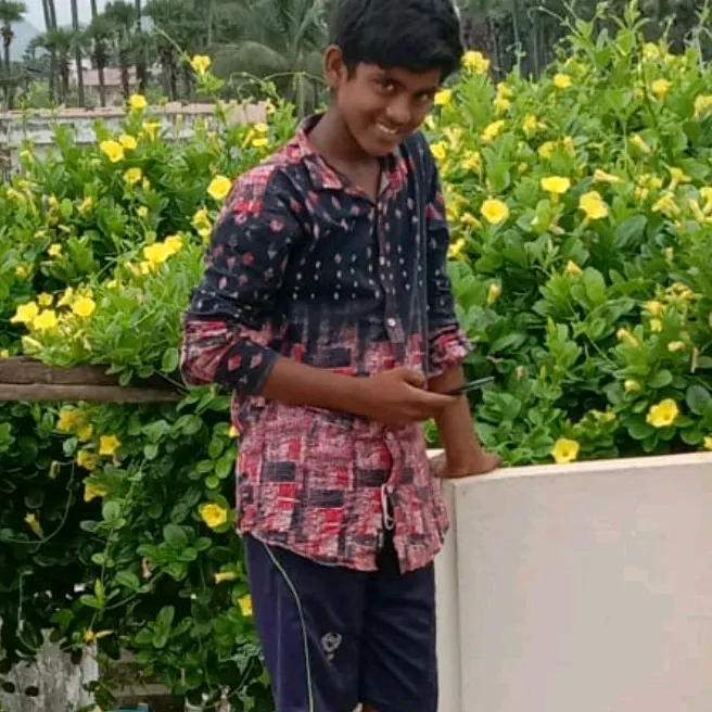 @allusrinu52