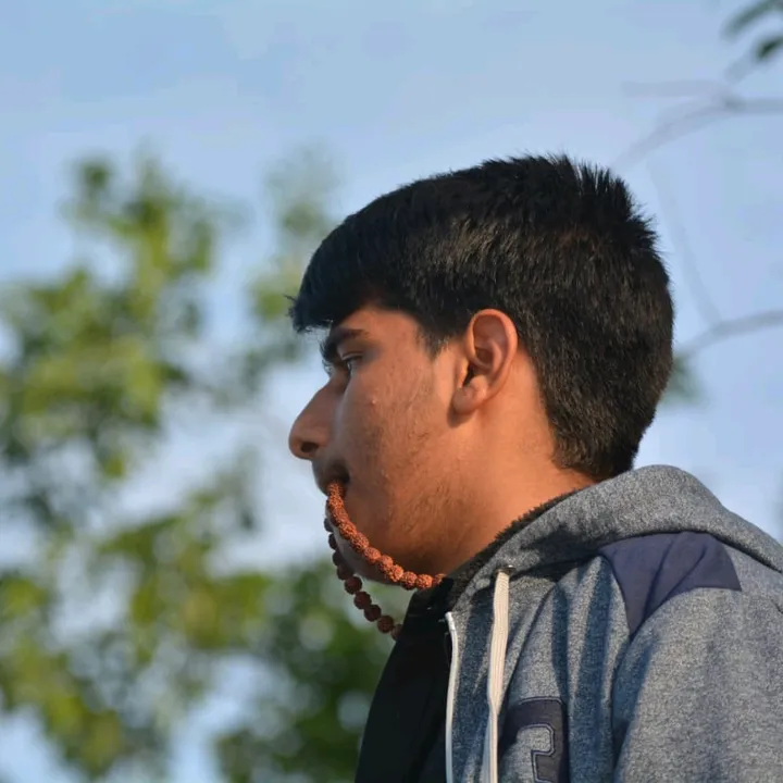 yogeshborkar04