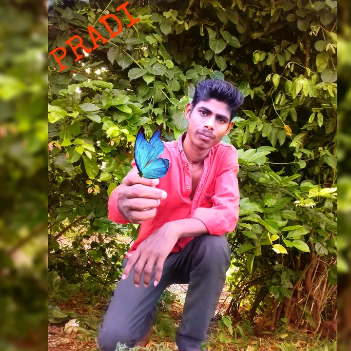 pradeepdpradi