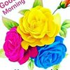 janvisharma_004