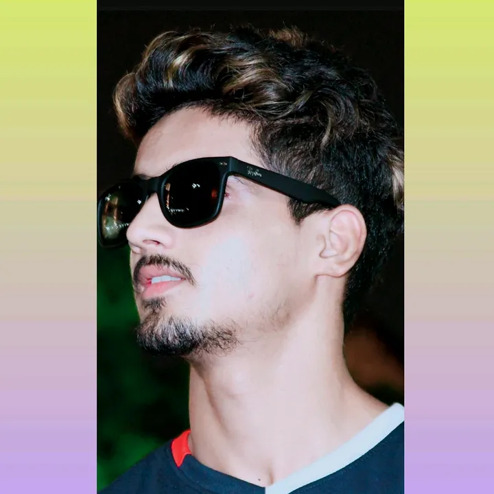 akku_3008