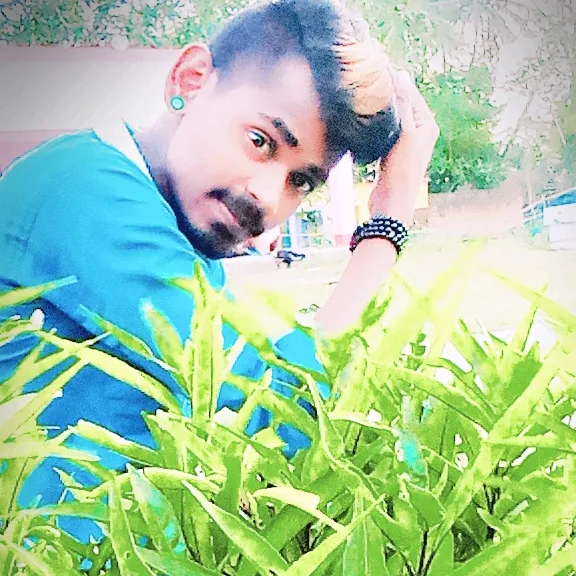 pinkuamalik798