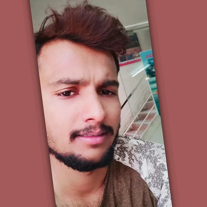 @rohitbingle