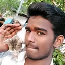 @naveen.kamadolli