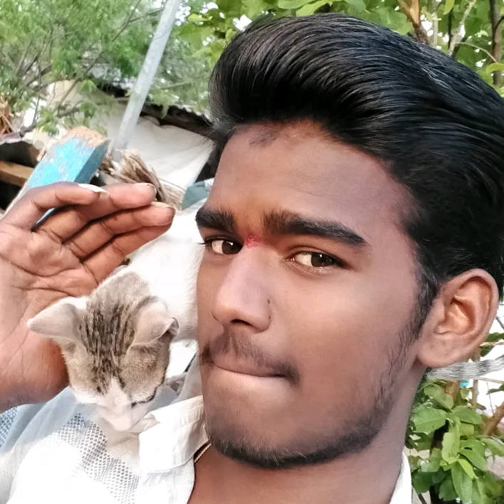 @naveen.kamadolli