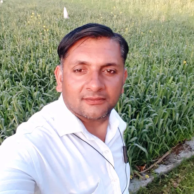 mushahidsaifi380