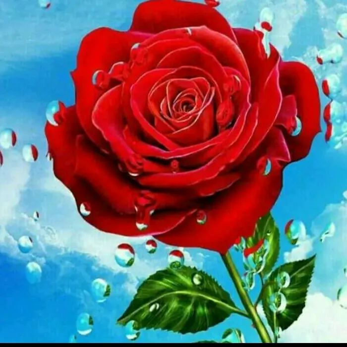 @user4353727957185