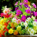 @sachuss980