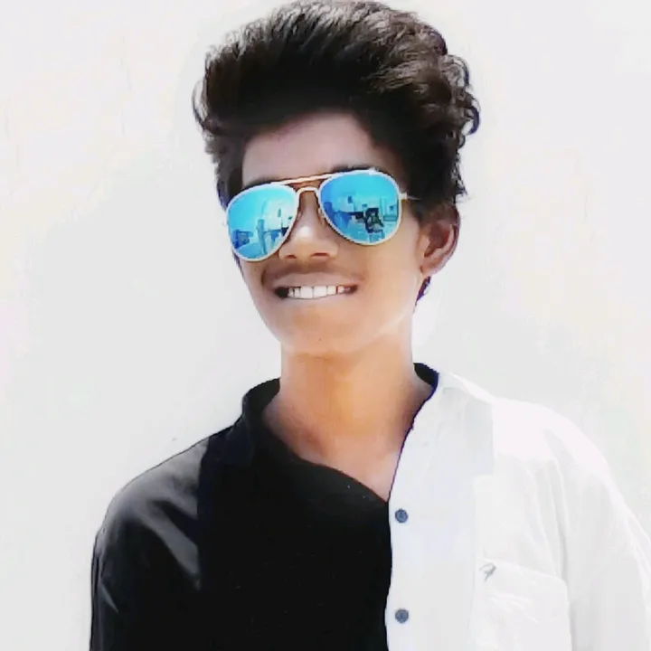 vamshikrishna4561