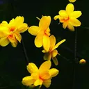 @praji7430