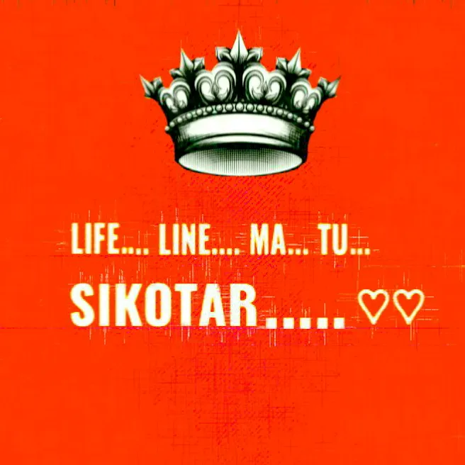 siku__jogi
