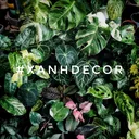 @xanhdecorvn