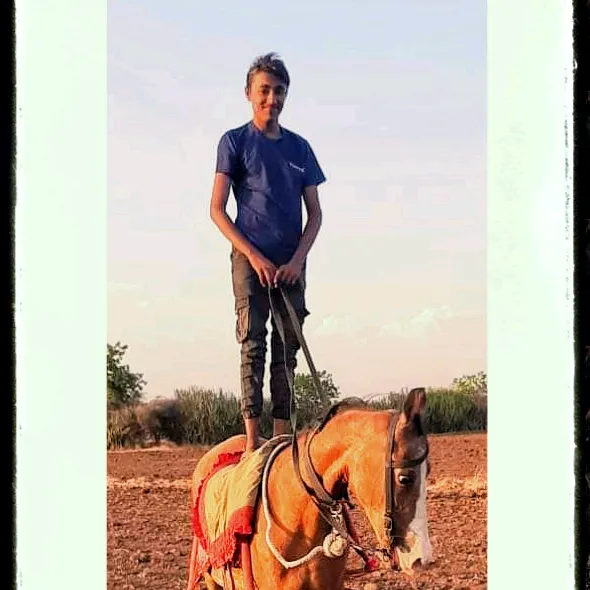 nitinzapda81