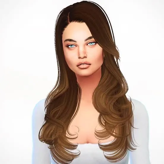 vintxaqe_sims