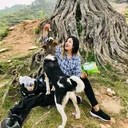 @anishapoon
