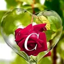 @chaiarush1