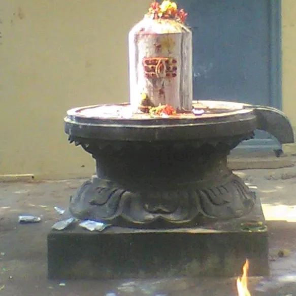 @bhavyagiri10.8