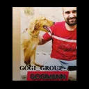 @gogigroup
