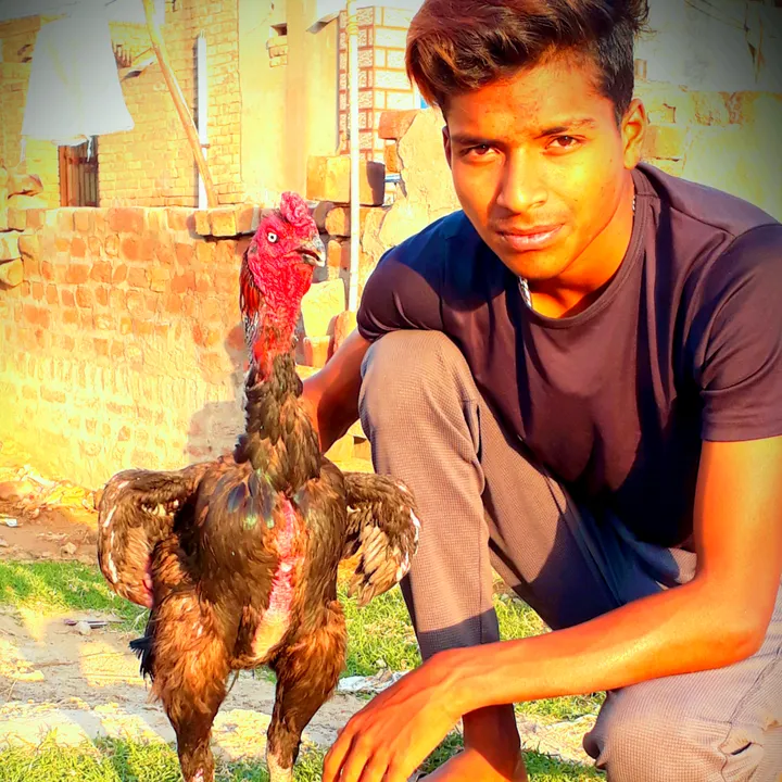 @vishalchandaliya420