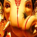 @poojanikam8495