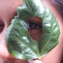 @eitu13