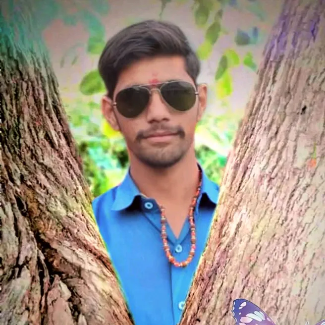 vilaslingait