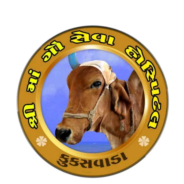 mayurrabari3303