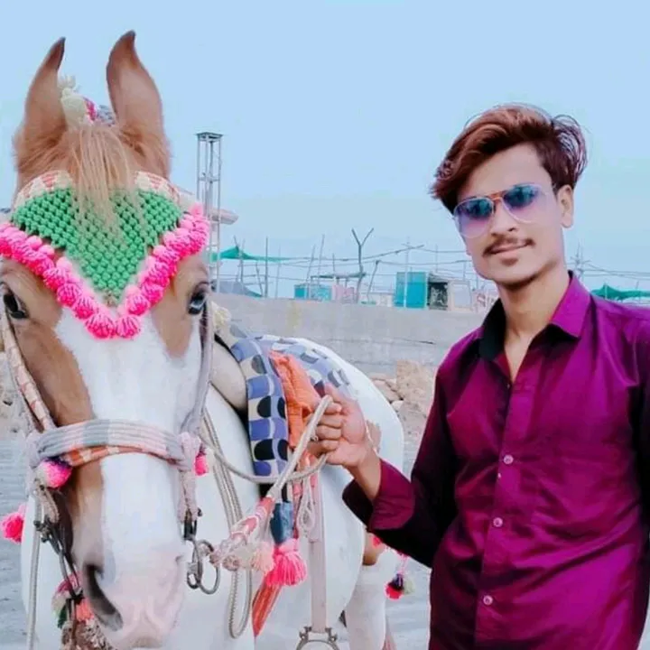 @amitsolanki237