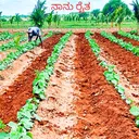 @kushal083111954