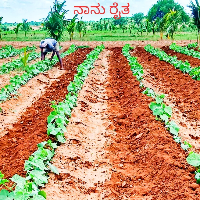 @kushal083111954