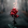 ibrahim1221744