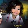 nabipspk