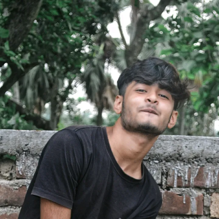alipbhadra